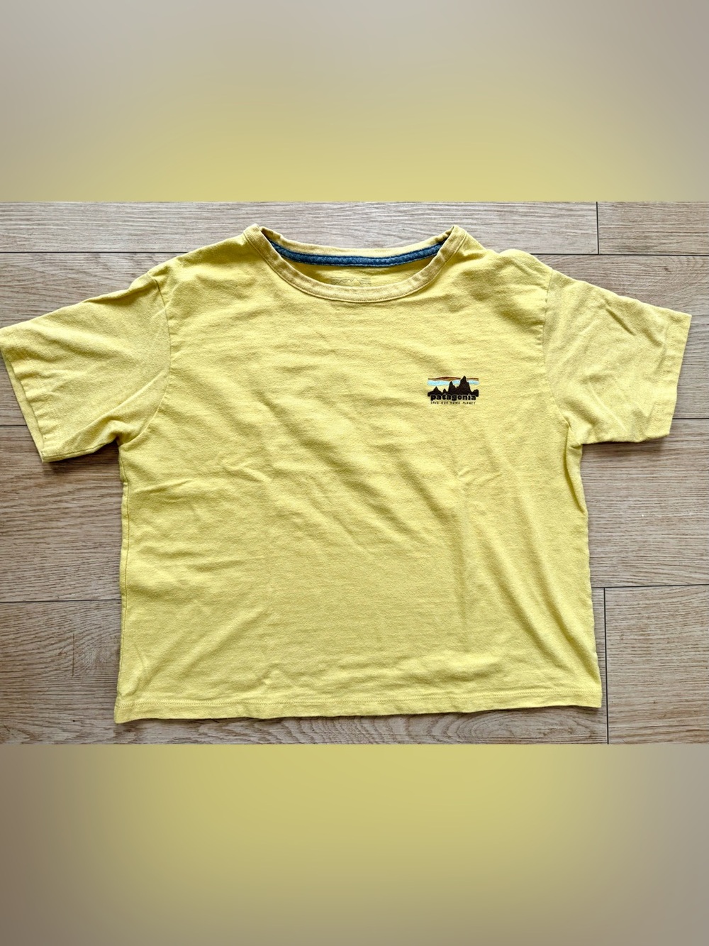 Patagonia 73 Skyline Easy Cut Responsibili-Tee Shirt - yellow